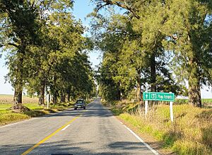 Archivo:Ruta51COUY
