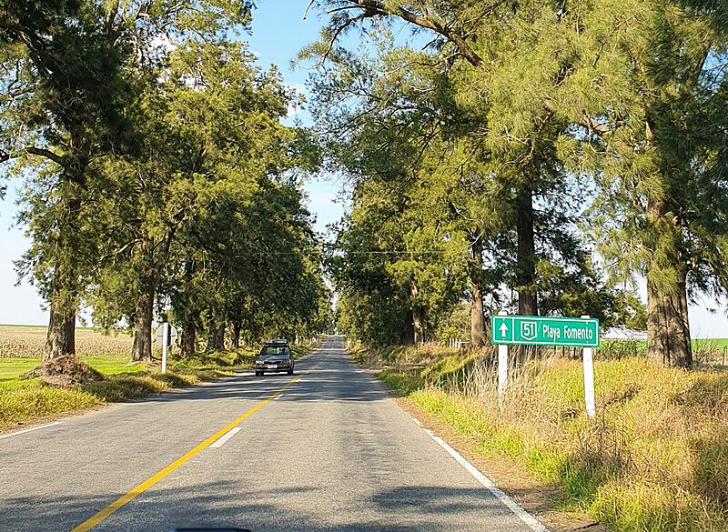Ruta51COUY