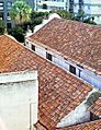 S. Francisco, Sta. Cruz TF, 2024, 094