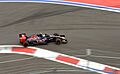 Sainz Jr Russia 2015