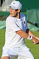 Schwartzman WM17 (16) (35793493100)
