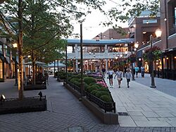Short Pump Town Center at dusk - 7.jpg