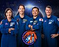 SpaceX Crew-2 crew