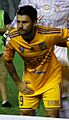 UANL Tigres 2015 - копия