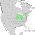 Ulmus thomasii range map 1