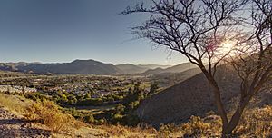 Archivo:Vicuña desde los cerros