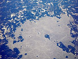 Viinijärvi from air.jpg