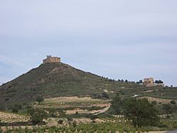 Archivo:Vista del Castillo de Davalillo sobre un Cerro