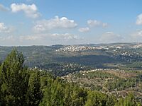 Yad Vashem view of Jerusalem valley by David Shankbone.jpg