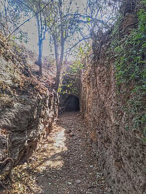 Archivo:Acceso al túnel del canal Estancia Las Rosas