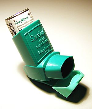 Archivo:AsthmaInhaler