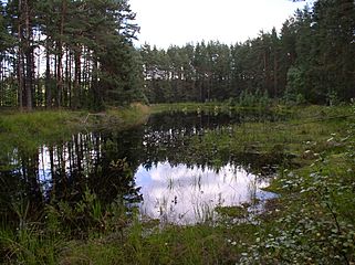 Belarus-Tapily Lake
