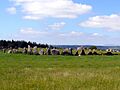 Beltany stone circle