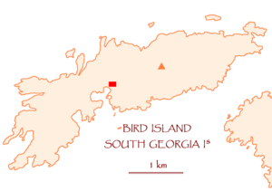 Archivo:Bird-Island