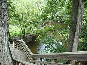 Archivo:Black Creek staircase from the Hudson Valley Rail Trail