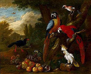 Archivo:Bogdáni, Jakob - Two Macaws, a Cockatoo and a Jay, with Fruit - Google Art Project