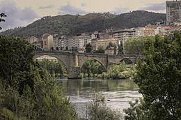Bridge, Ourense (Spain), Minho River