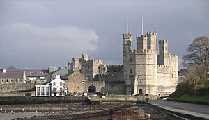 Archivo:Caernarfon castle from the west