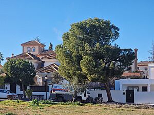 Archivo:Calle Ruiseñor, en El Ventorrillo (Vegas del Genil, Granada)