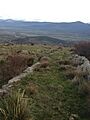 Calzada a Amavida