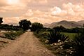 CaminoREal3