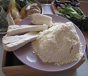 Archivo:Cassava -dried tuber pieces and ground flour