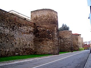 Cubos de la muralla de León