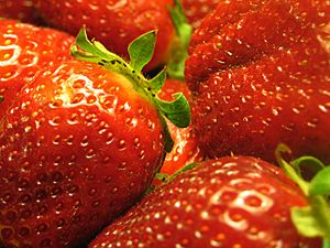 Archivo:Des fraises