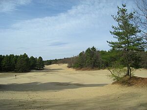 Archivo:Desert of Maine - Freeport, ME - IMG 7997