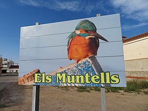 Archivo:El Martín pescador, es un emblema en la localidad d'Els Muntells