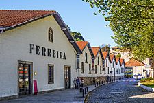 Ferreira wine cellar buildings (24378867108) edited