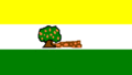 Flag of Caimito (San Juan, Puerto Rico)