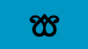 Flag of Kara Koyunlu dynasty.png