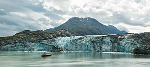 Archivo:Glaciar Lamplugh, Parque Nacional Bahía del Glaciar, Alaska, Estados Unidos, 2017-08-19, DD 114