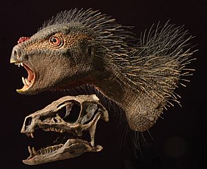 Archivo:Heterodontosaurus model