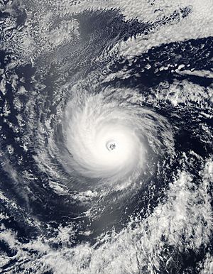 Hurricane daniel 2006.jpg