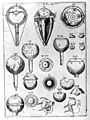 Kepler Optica