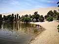 Llacuna de l'oasi de Huacachina13