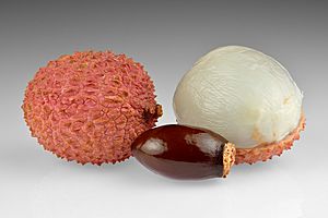 Archivo:Lychee fruits and seed