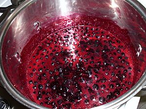 Archivo:Making Blueberry Jam 4