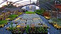 Native Plant Nursery at the Asilomar Conference Grounds
