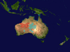 alt=Mapa de distribución de Notoryctes sp.  * Notoryctes caurinus (en rojo) * Notoryctes typhlops (en azul)