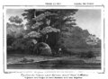 Page73-Historia de la Patagonia, Tierra de Fuego, é Islas Malvinas