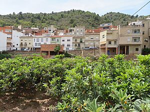 Archivo:Panorámica de Alfondeguilla (Castellón)