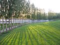 Parc Trinitat3