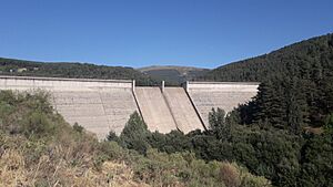 Archivo:Presa del Pirón