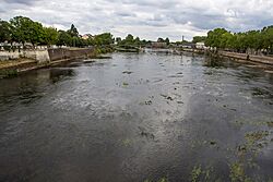 Rio vienne 2019An02.jpg