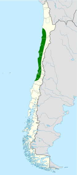 Distribución geográfica del tapaculo gorgiblanco.