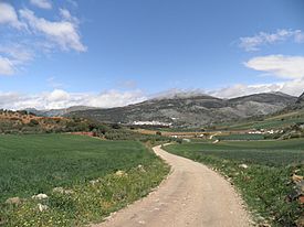 Sierra de Enmedio, Málaga (7232298932).jpg