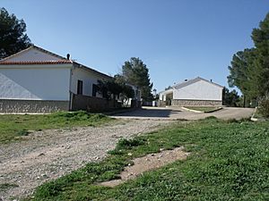 Tamayo (Valencia) para Niños